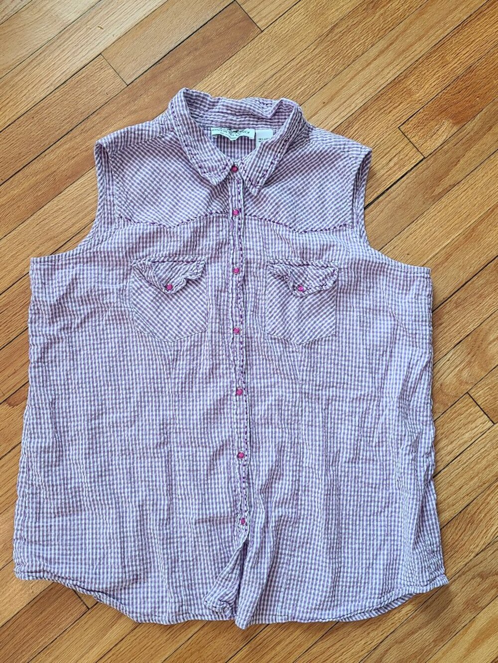 Back in the Saddle Purple Gingham Sleeveless Western Pearl Snap Shirt 1X
